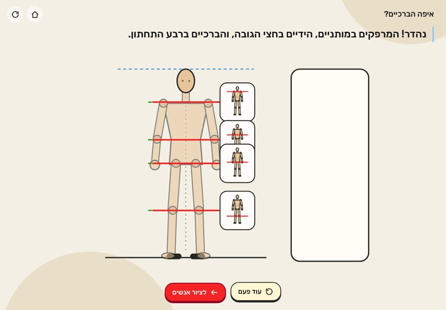 איפה הברכיים