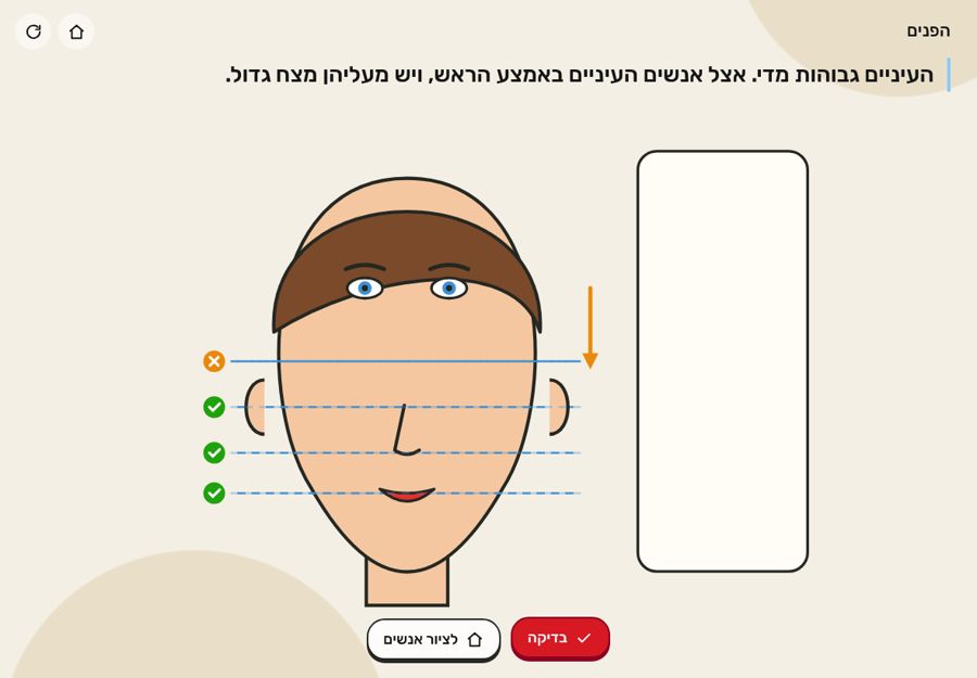 מפת הפנים